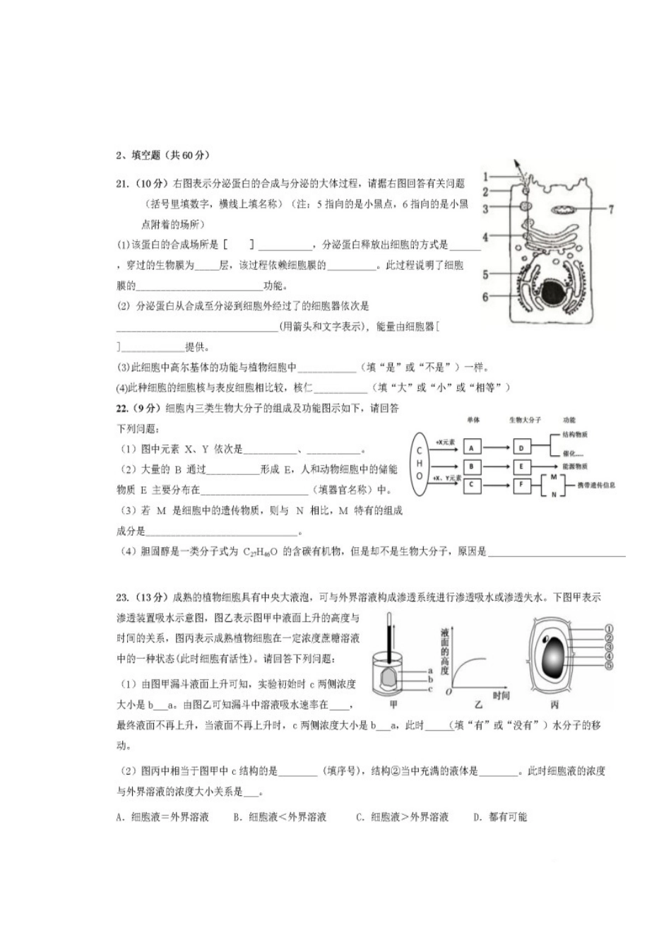 四川省仁寿县第二中学2023学年高一生物上学期第二次检测期中试题.doc_第3页