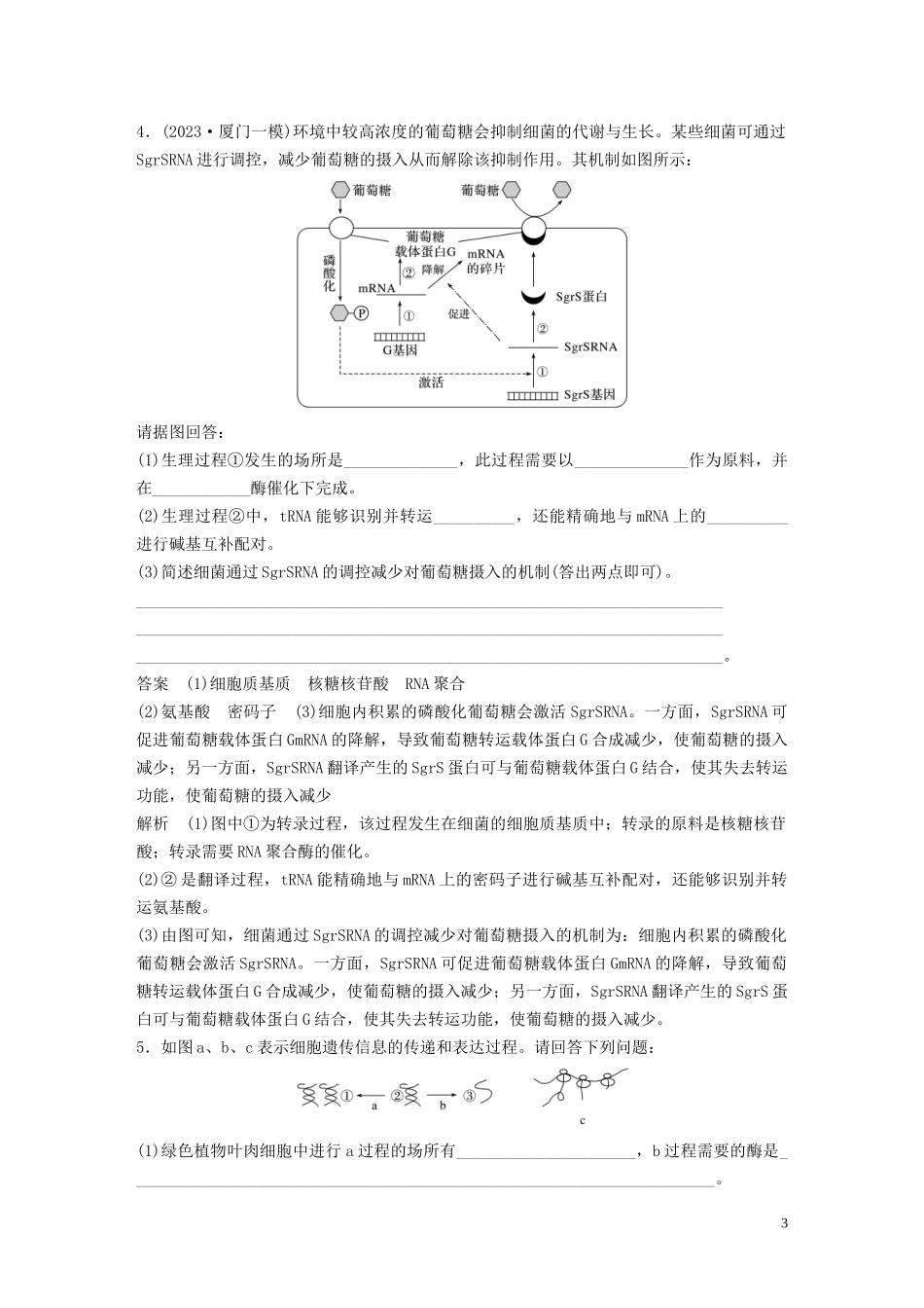 2023学年年高考生物三轮冲刺抢分专项练专项二简答题规范审答练四遗传物质基础含解析.docx_第3页