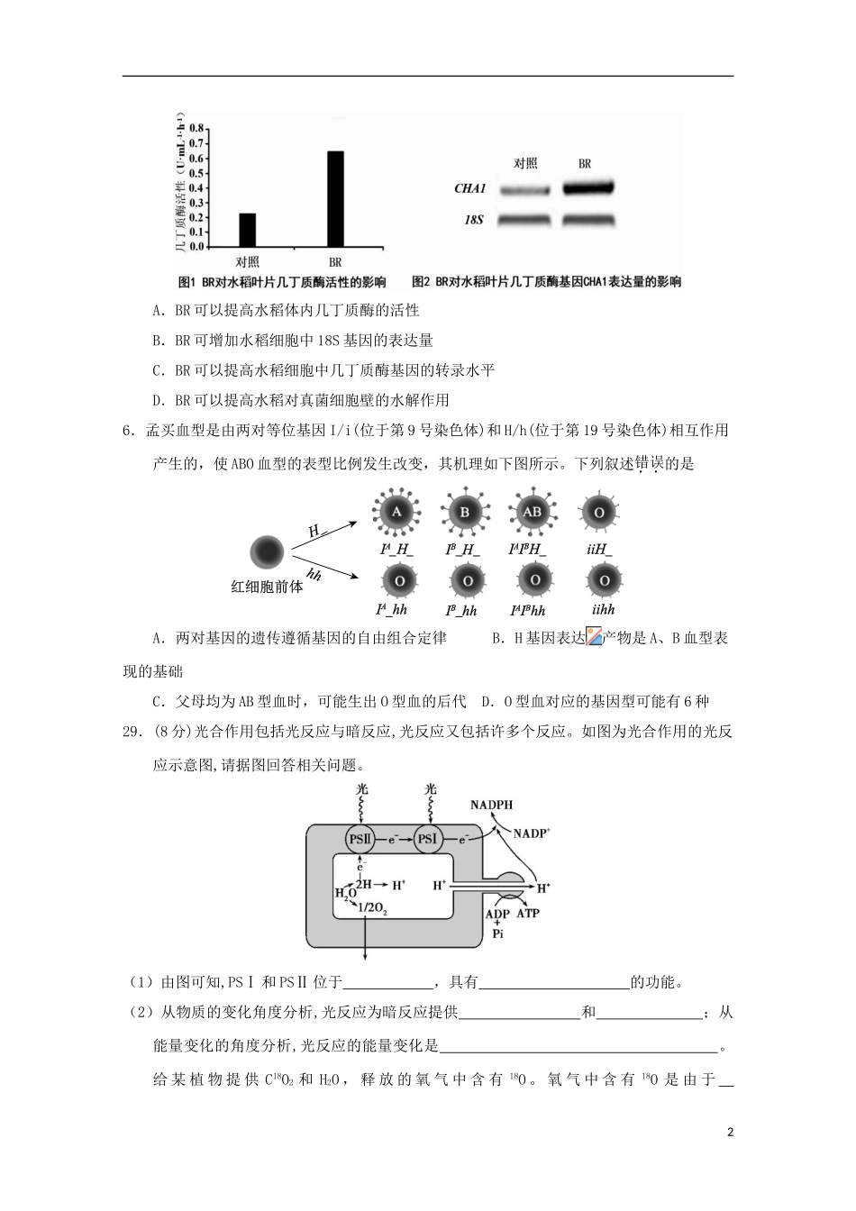 云南省曲靖市第一中学2023学年高三生物第二次模拟考试试题.doc_第2页