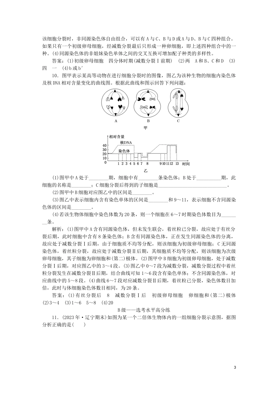 2023学年新教材高中生物课时双测过关五减数分裂（人教版）必修2.doc_第3页