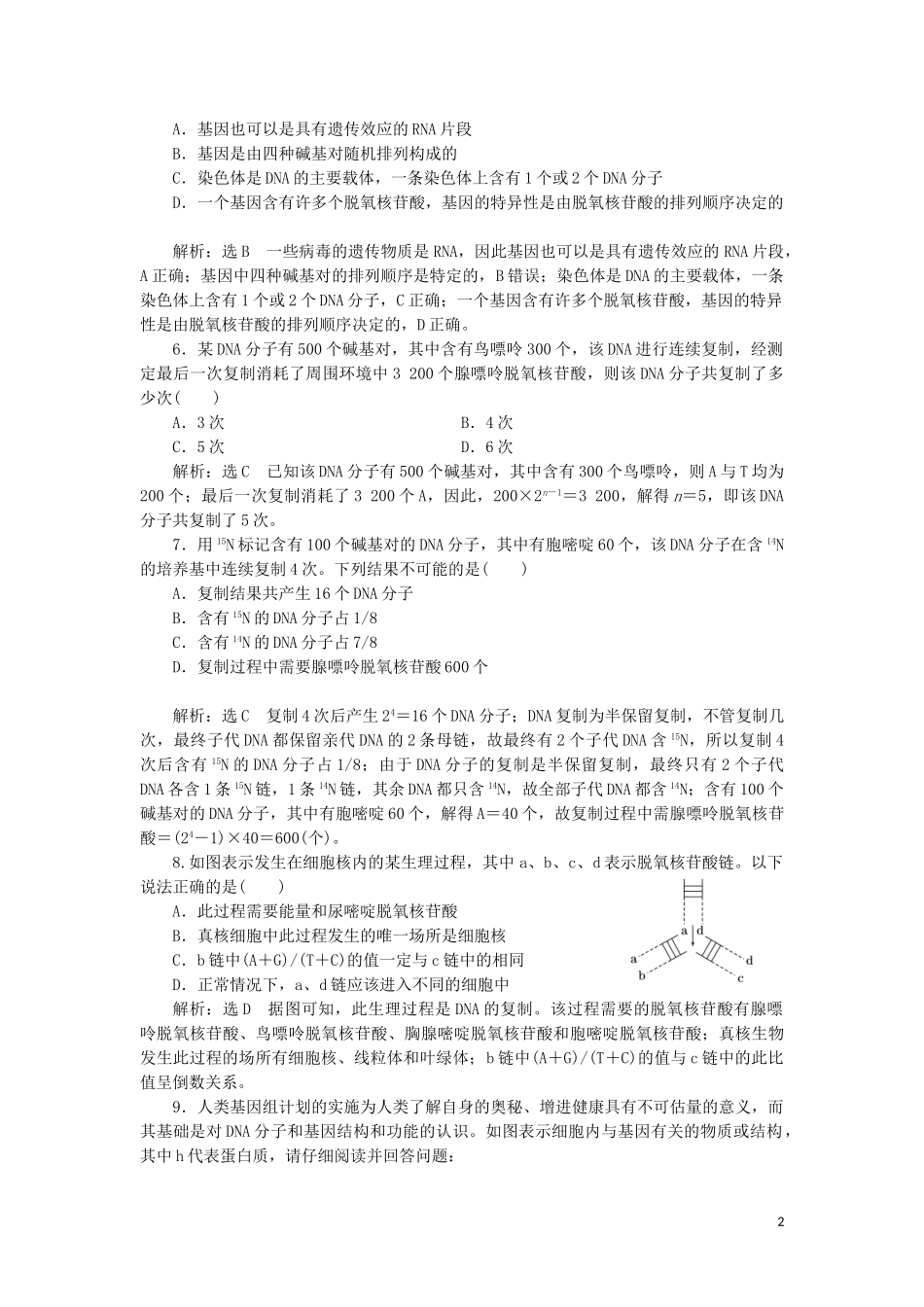 2023学年新教材高中生物课时双测过关十一DNA的复制基因通常是有遗传效应的DNA片段（人教版）必修2.doc_第2页