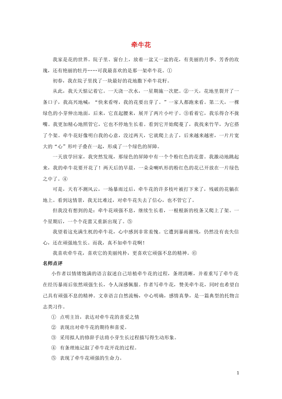 2023学年三年级语文下册第一单元习作我的植物朋友范文：牵牛花素材（人教版）.docx_第1页