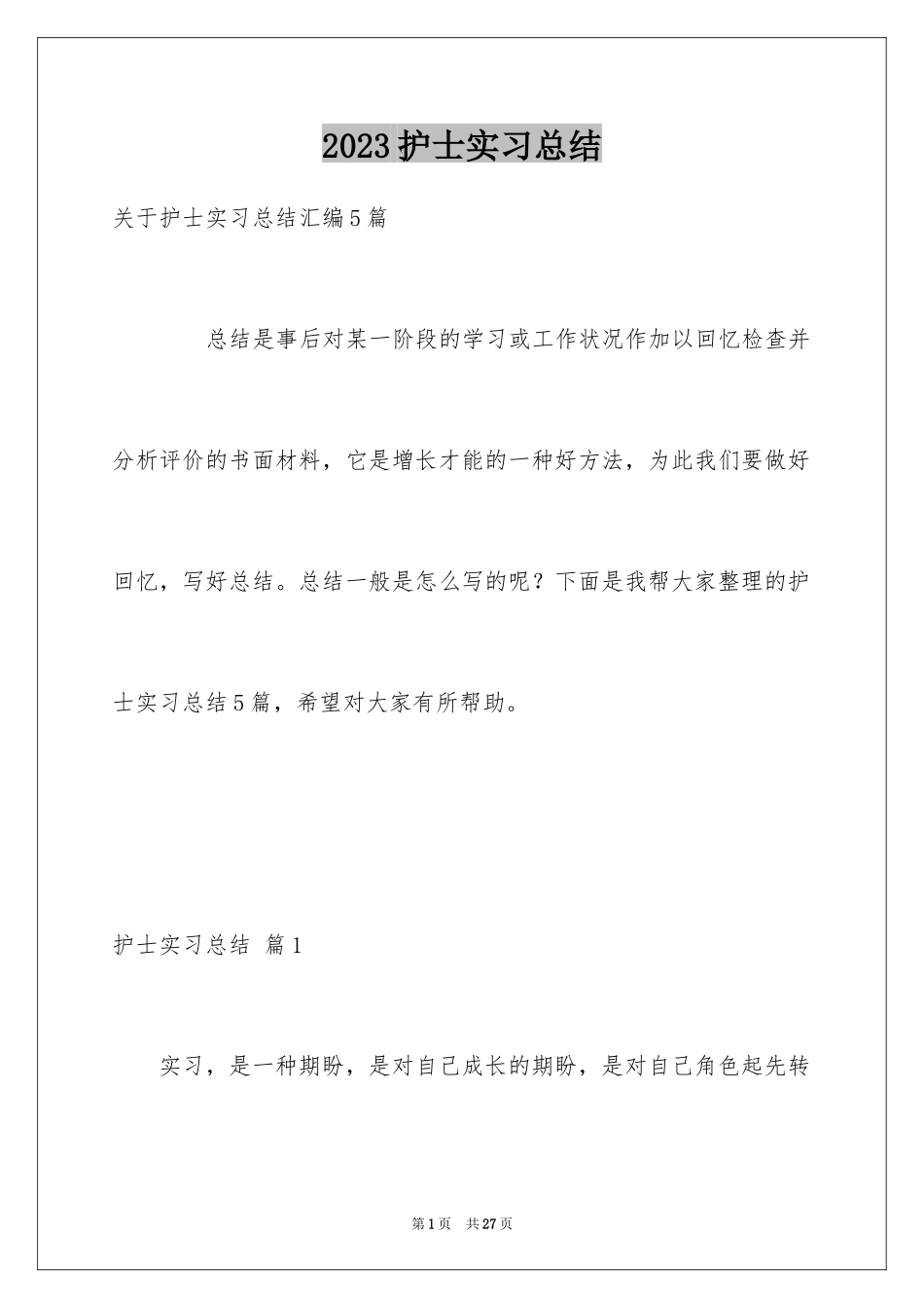 2023护士实习总结20范文.docx_第1页