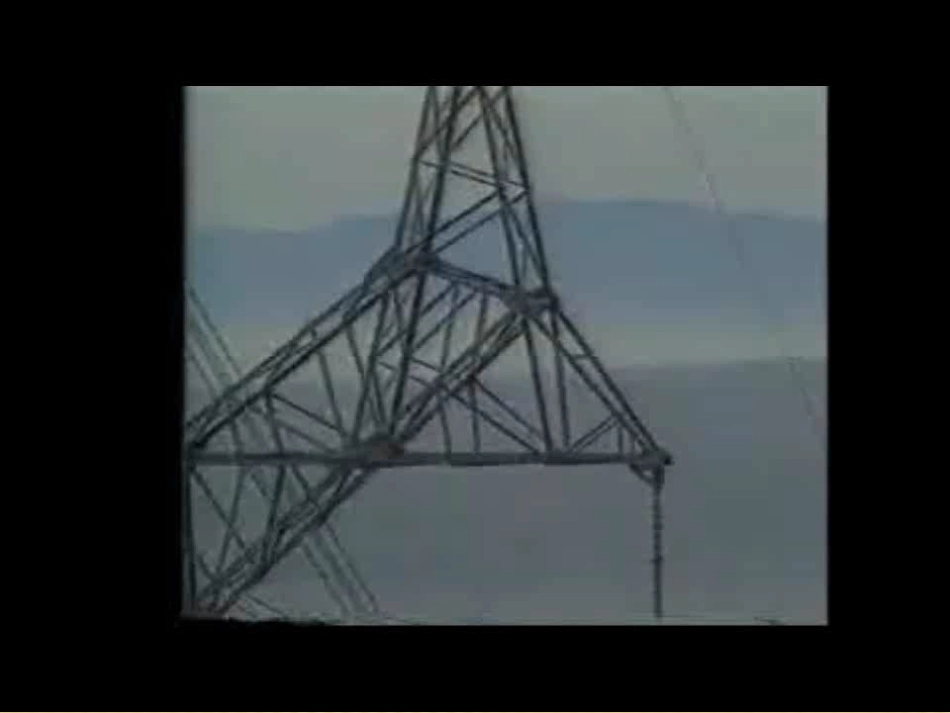 胸外心脏按压法.pptx_第2页