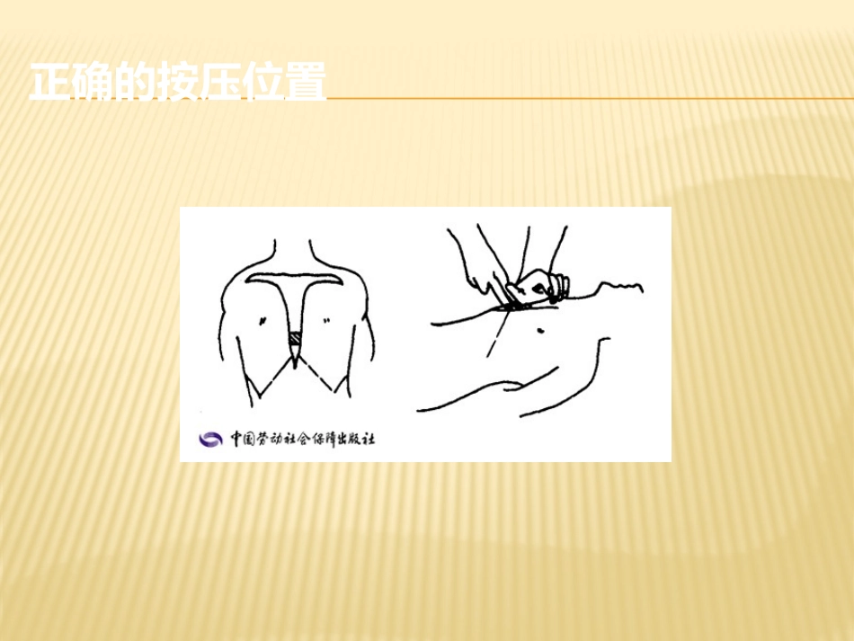 胸外心脏按压法.pptx_第3页