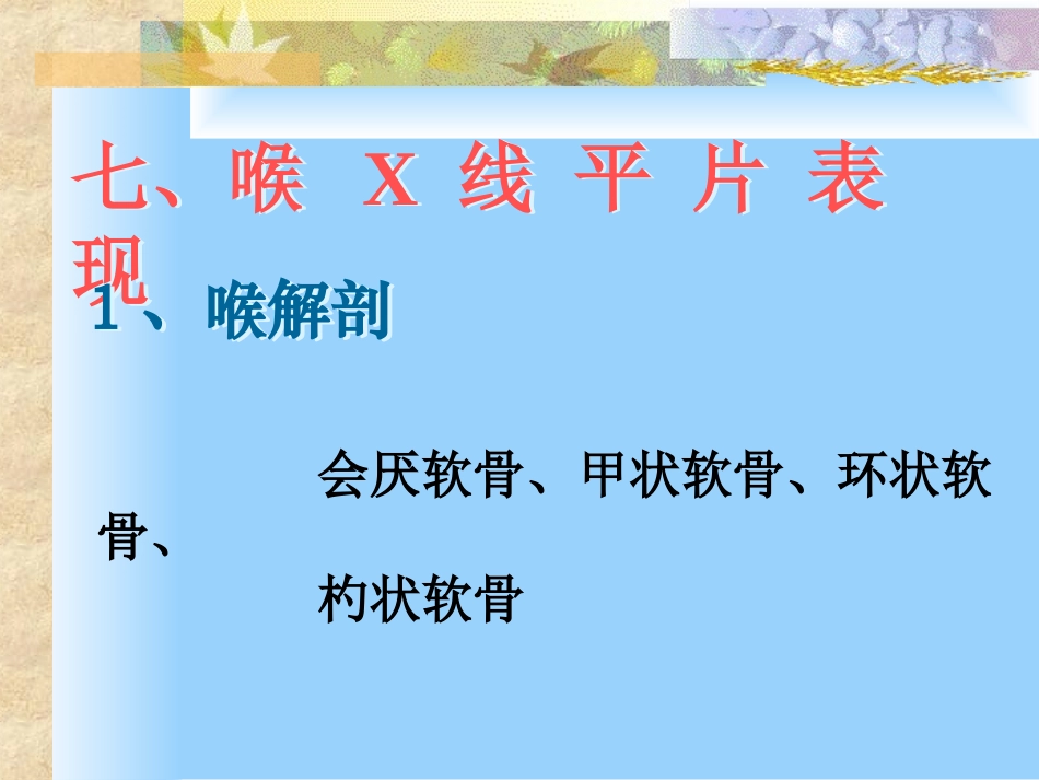 胸片广医一院.ppt_第2页