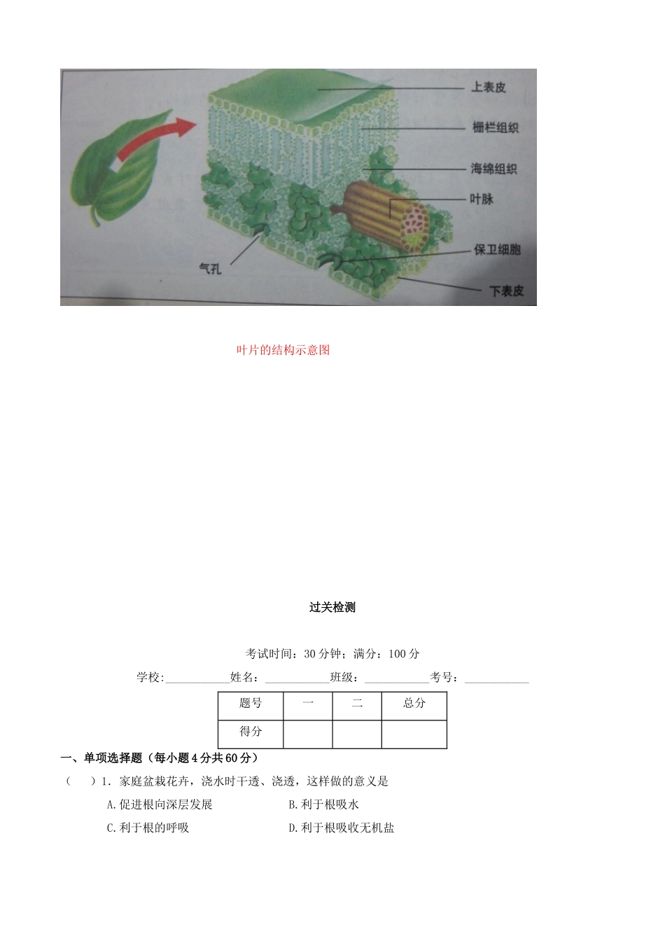 2023学年七年级生物上册专题七绿色植物与生物圈的水循坏知识梳理及过关检测含解析新版（人教版）.doc_第2页