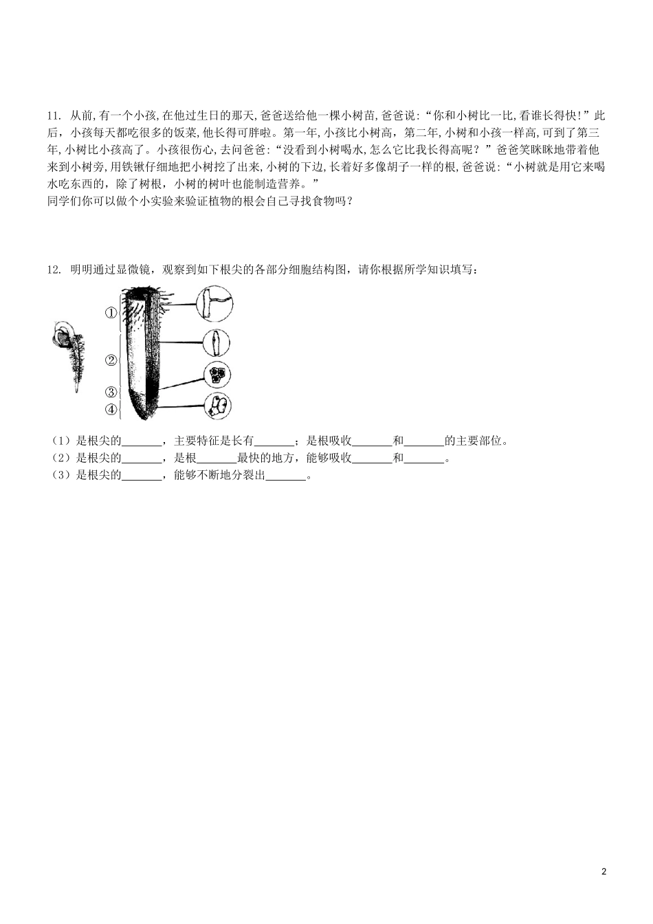 2023学年七年级生物上册第3单元生物圈中的绿色植物第5章绿色植物的一生5.2植物根的生长同步练习含解析苏教版.doc_第2页