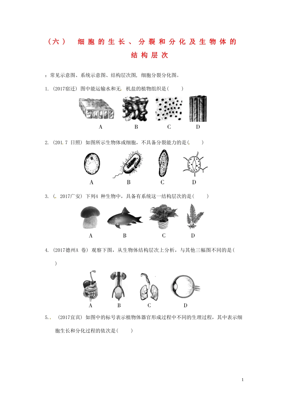2023学年中考生物重难点突破细胞的生长分裂和分化练习含解析.doc_第1页
