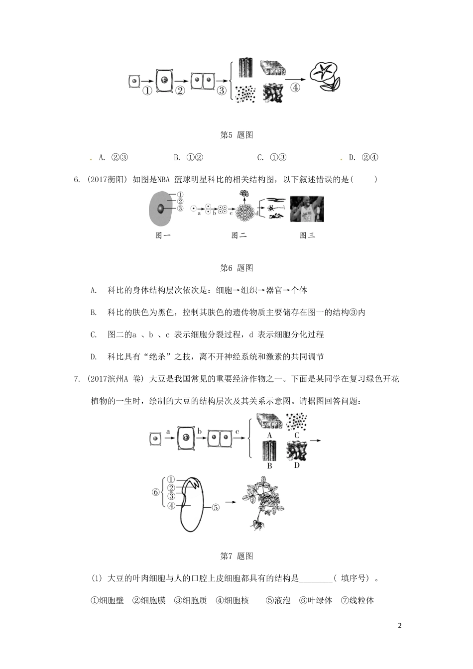 2023学年中考生物重难点突破细胞的生长分裂和分化练习含解析.doc_第2页