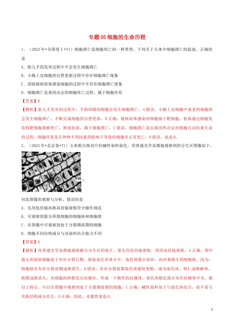 2023学年高考生物真题分类汇编专题05细胞的生命历程含解析.docx_第1页