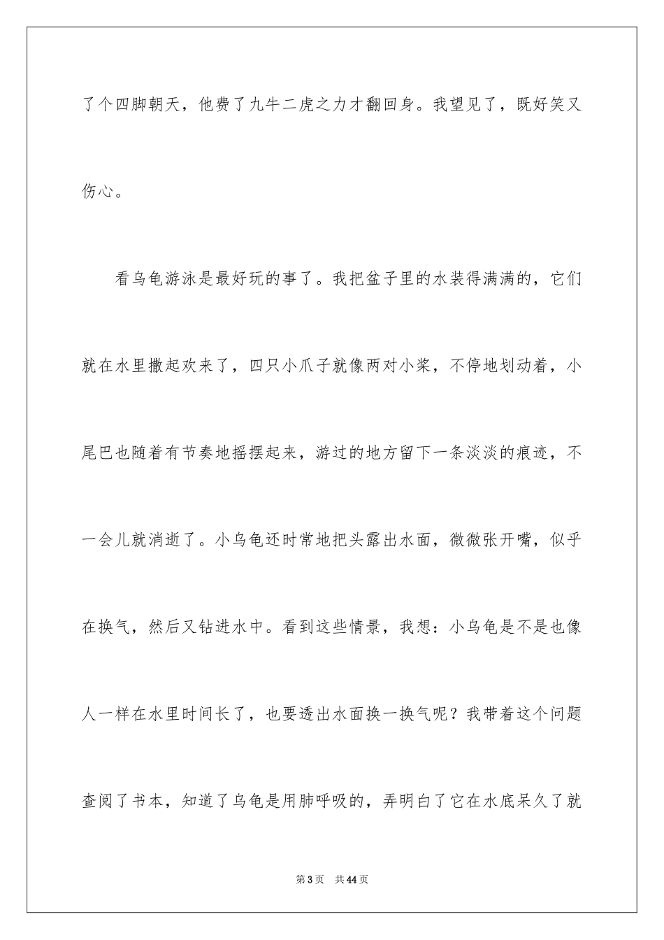 2023年可爱的小乌龟1.docx_第3页