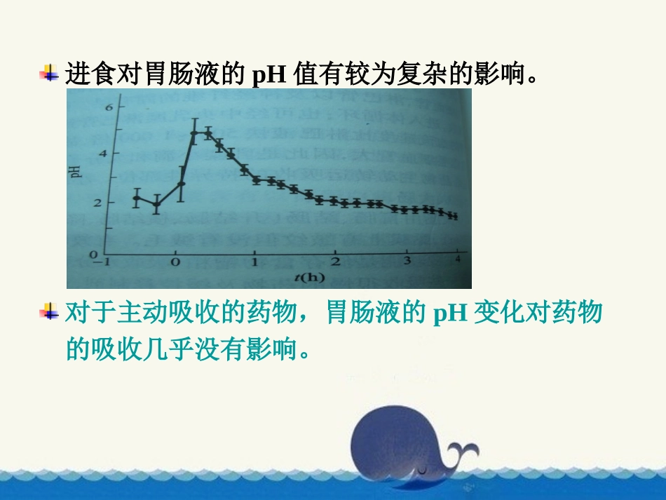 消化系统的影响.ppt_第3页