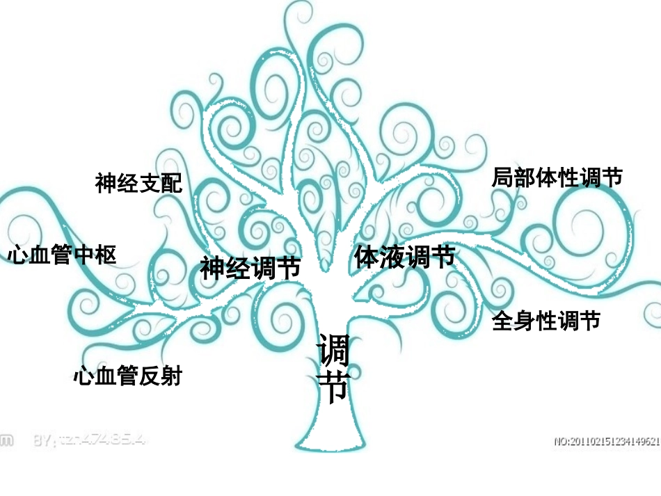 心血管活动调节幻灯片.ppt_第2页