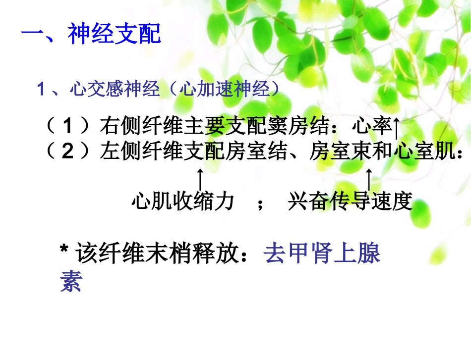 心血管活动调节幻灯片.ppt_第3页