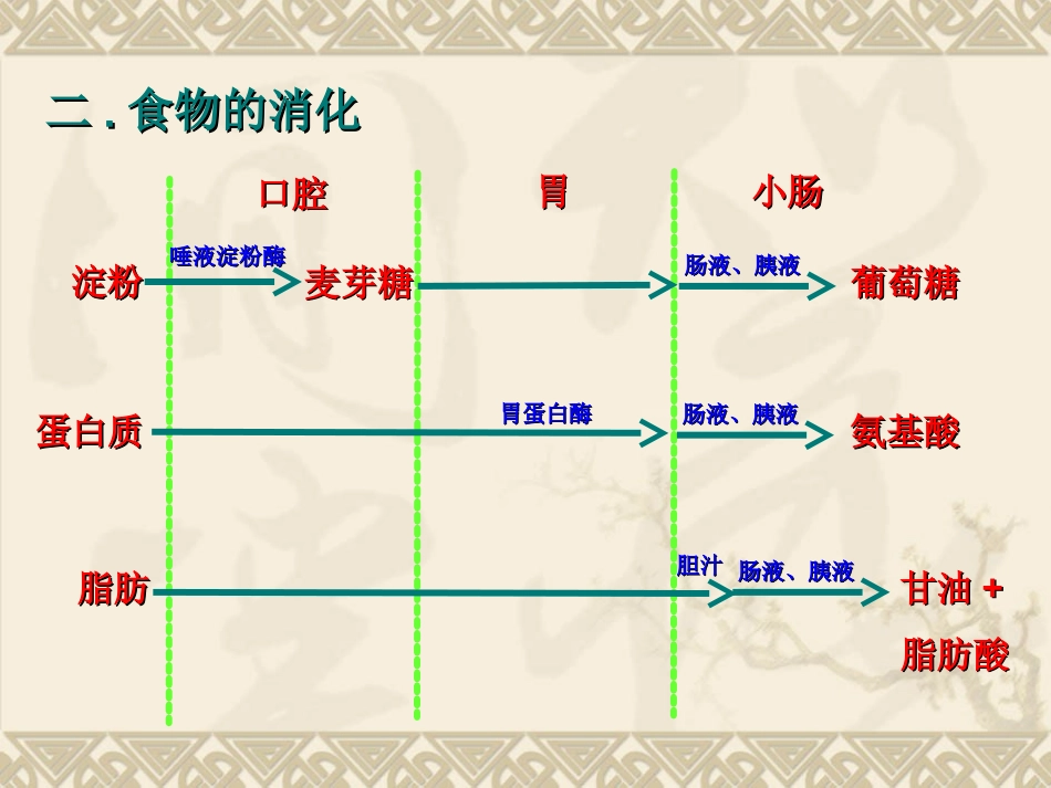 物质的消化和吸收.ppt_第3页