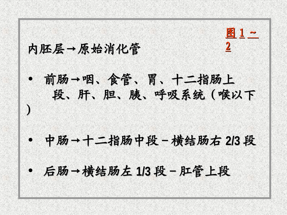 消化系统和呼吸系统的发生.ppt_第2页