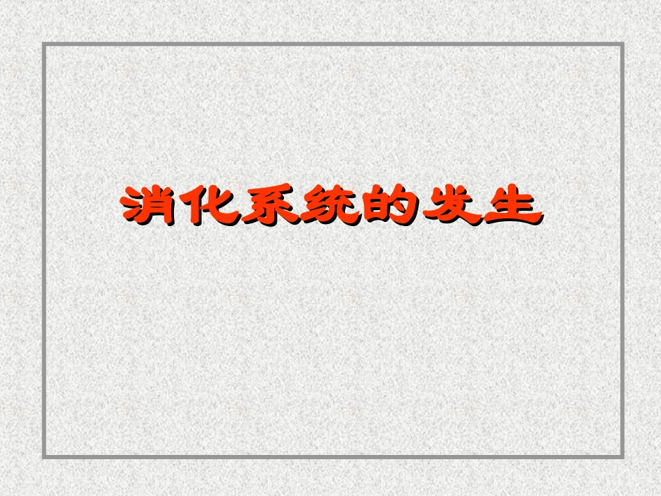 消化系统和呼吸系统的发生.ppt_第3页
