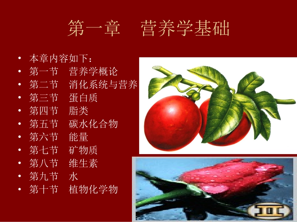 消化系统与营养.ppt_第2页