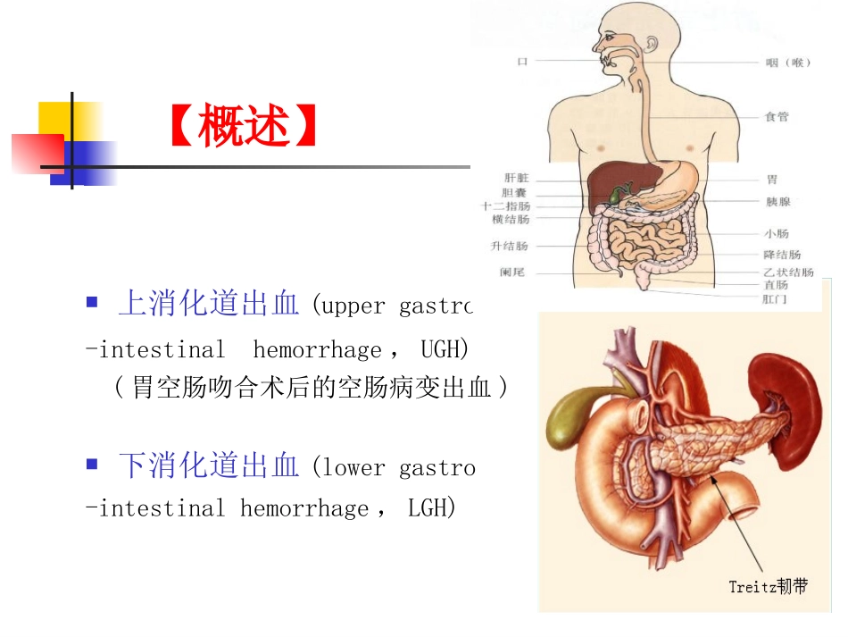 消化道出血个案苏丹.ppt_第3页