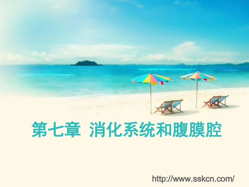 消化系统与腹膜腔.ppt_第1页