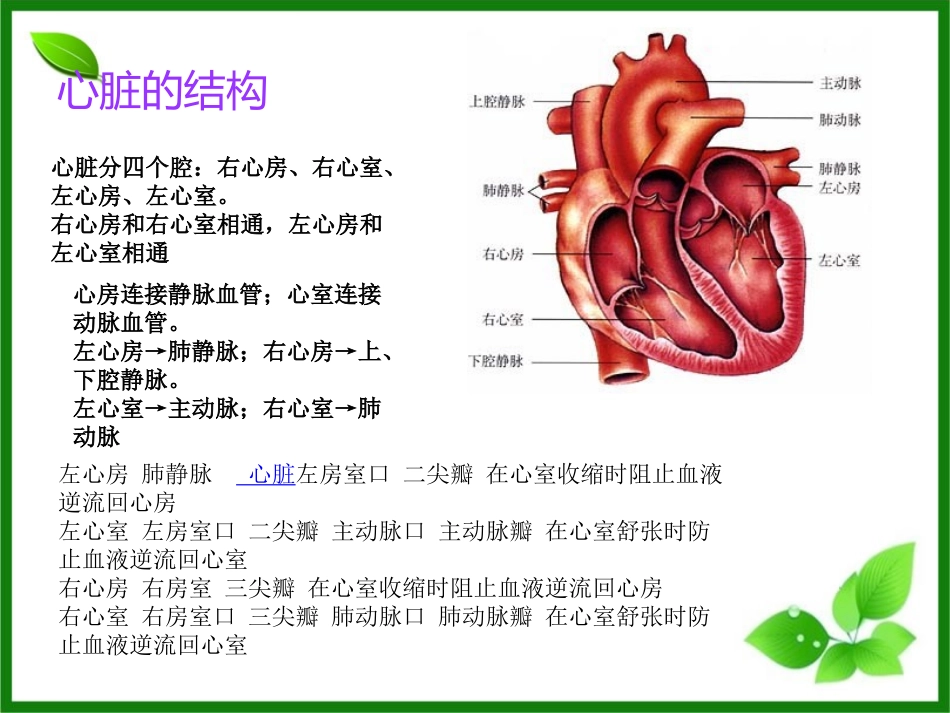 新2016心脏查体.ppt_第3页