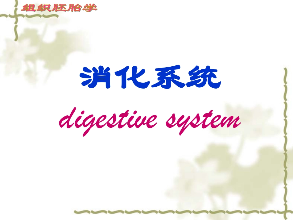 消化系统细微结构.ppt_第1页