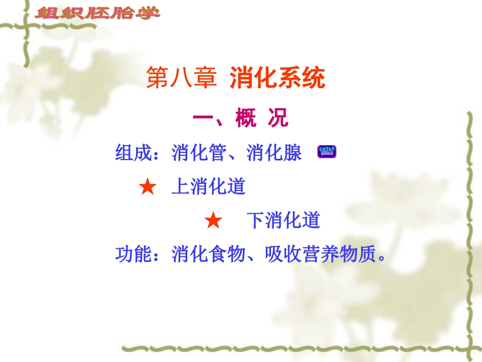 消化系统细微结构.ppt_第2页