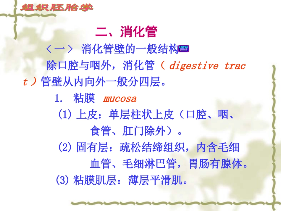 消化系统细微结构.ppt_第3页