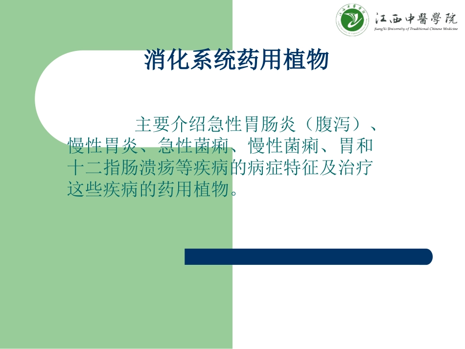 消化系统药用植物.ppt_第3页