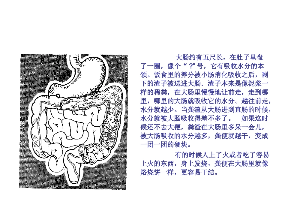 消化系统肝胆胰脾部分.ppt_第3页