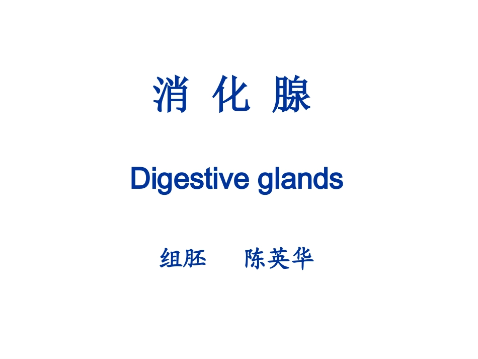 消化腺.ppt.ppt_第2页