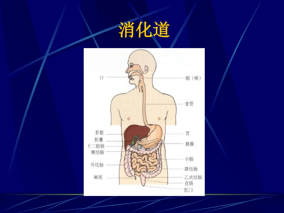 消化道出血ppt共享精品ppt.ppt_第1页