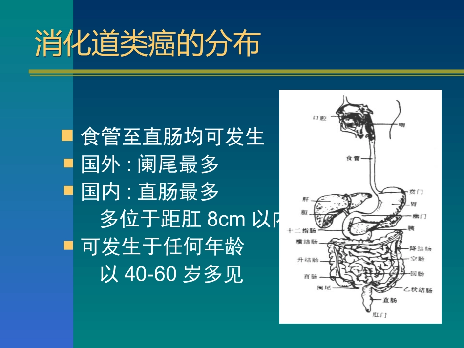 消化道类癌与类癌综合征1.ppt_第3页