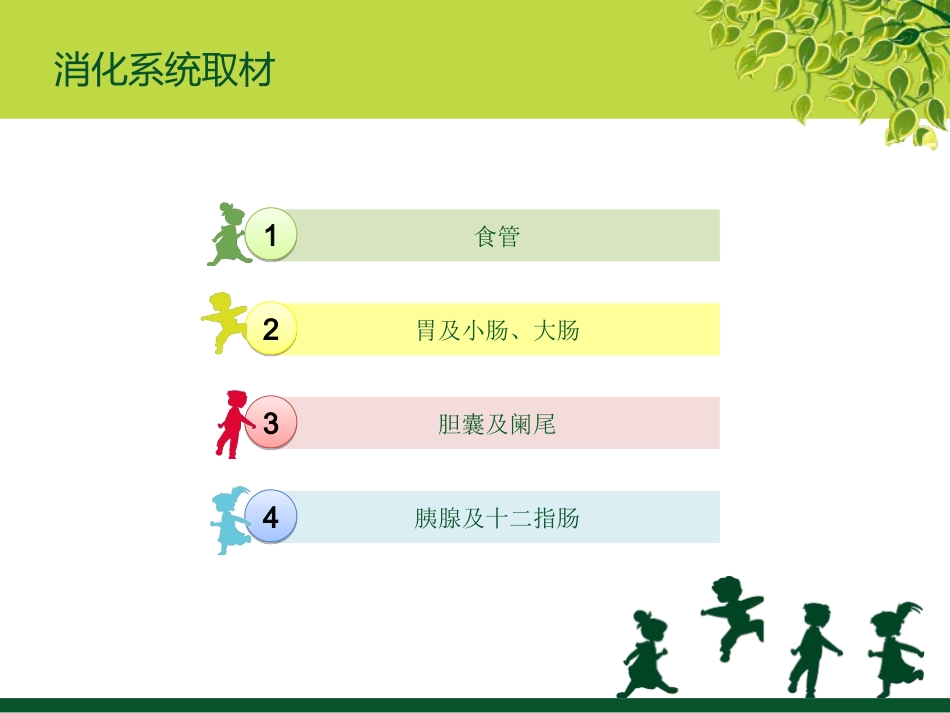 消化道取材.ppt_第2页