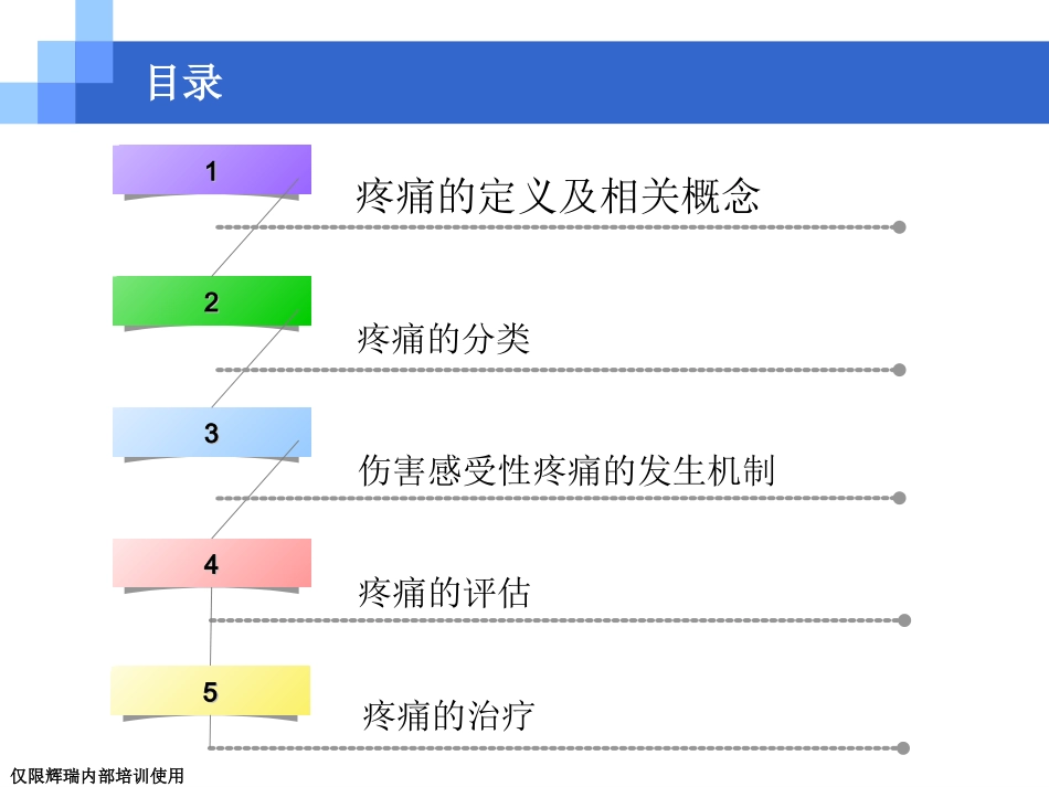 疼痛基础知识.ppt_第2页