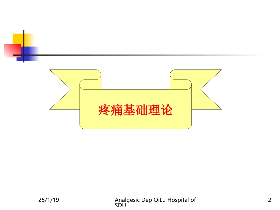 疼痛基础理论及诊疗原则要点.ppt_第2页