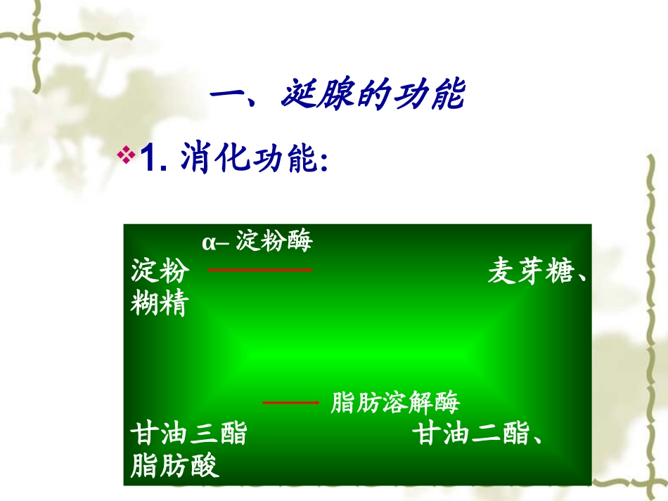 涎腺的功能与增龄变化.ppt_第3页