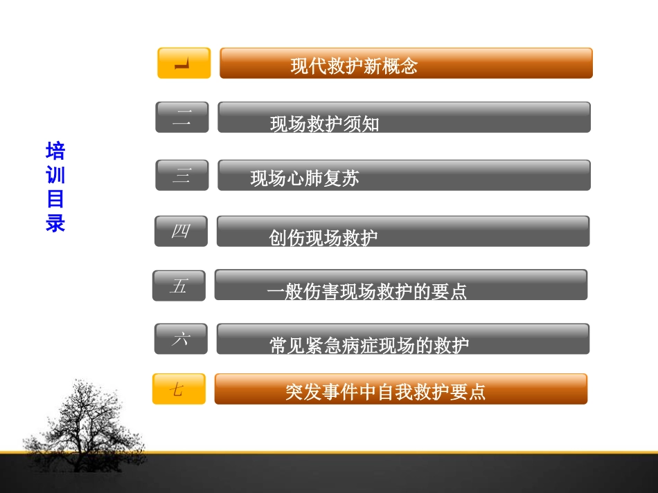 现场应急救护2014.10.17.ppt_第2页