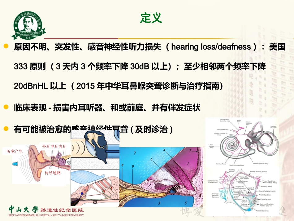 突发性耳聋的诊疗进展及指南解读.ppt_第2页