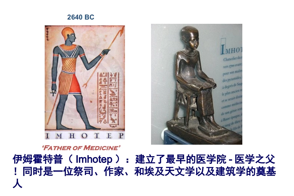 痛风：过去和现在.ppt_第2页