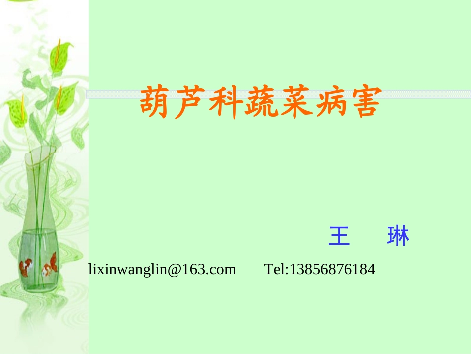 王琳葫芦科病害.ppt_第1页