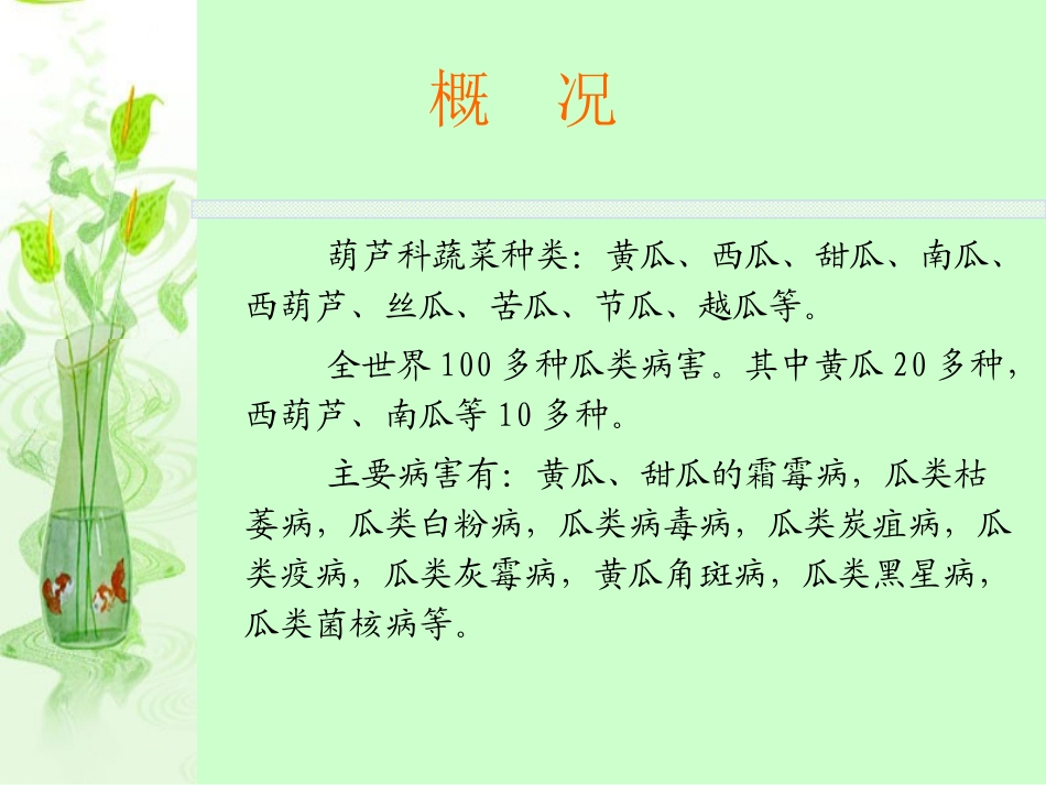 王琳葫芦科病害.ppt_第2页