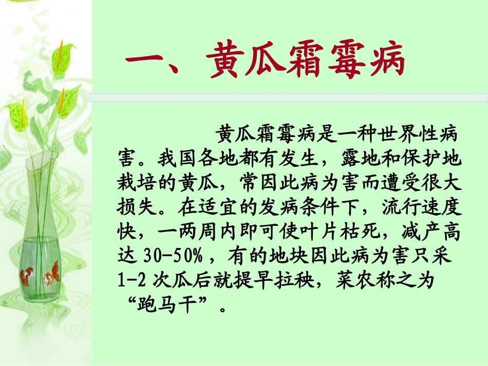 王琳葫芦科病害.ppt_第3页