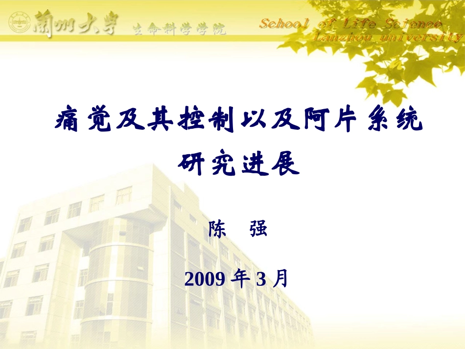 痛觉研究与阿片系统.ppt_第1页