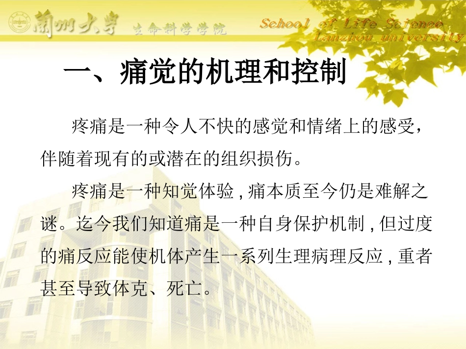 痛觉研究与阿片系统.ppt_第2页