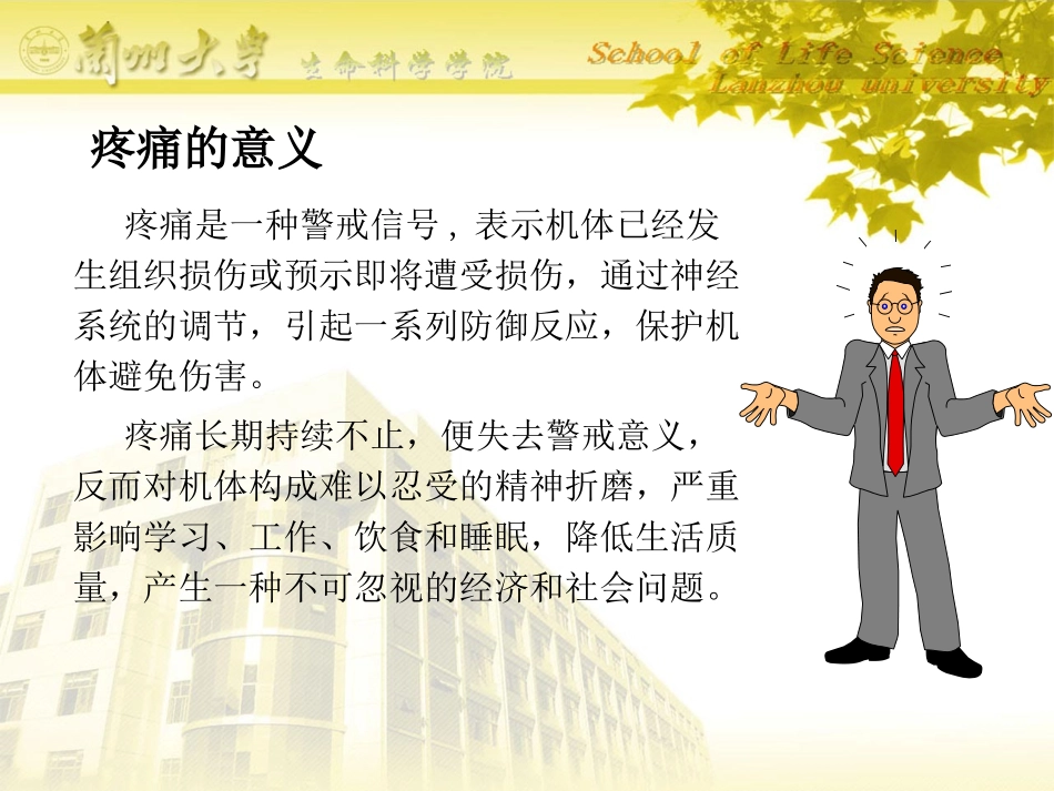 痛觉研究与阿片系统.ppt_第3页
