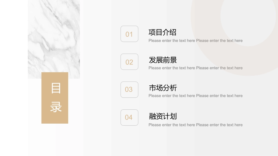 简约淡雅商业计划书.pptx_第2页