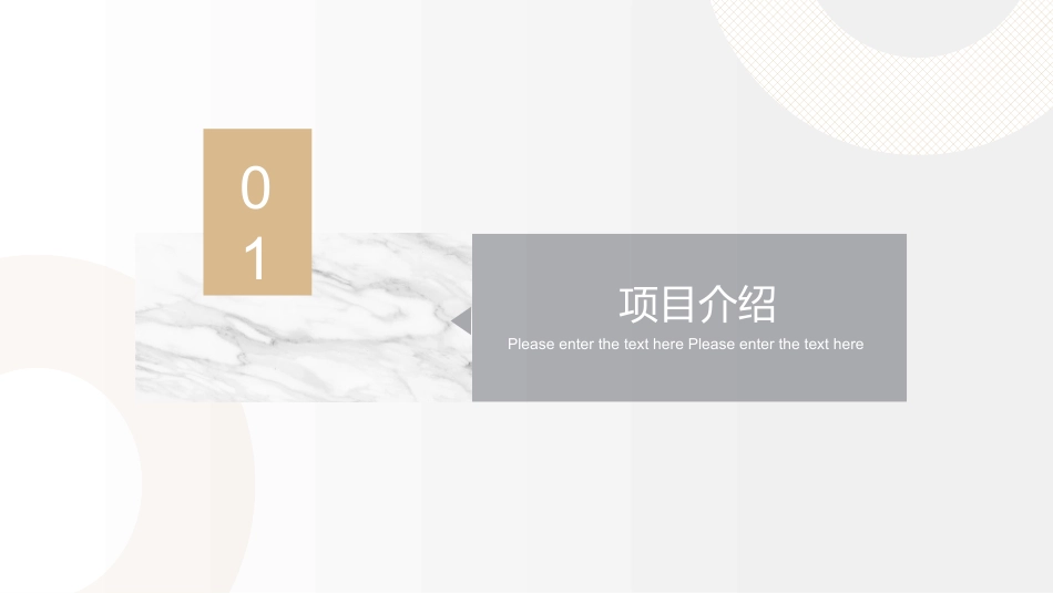 简约淡雅商业计划书.pptx_第3页