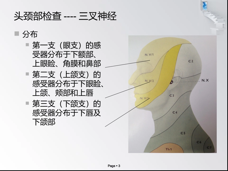 疼痛科常用体检及意义.ppt_第3页